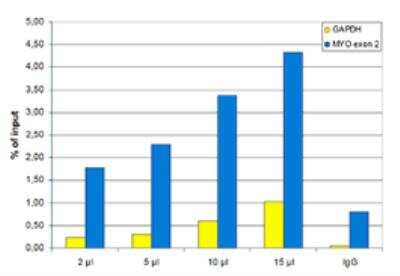 Chromatin Immunoprecipitation: Histone H3 [Dimethyl Arg17] Antibody [NBP2-59162] - ChIP assays were performed using human osteosarcoma (U2OS) cells, the antibody against H3R17me2(asym) and optimized PCR primer sets for qPCR. Chromatin was sheared with a Shearing ChIP kit. ChIP was performed with a ChIP kit, using sheared chromatin from 1.6 million cells per ChIP reaction. A titration of the antibody consisting of 2, 5, 10 and 15 uL per ChIP experiment was analysed. IgG (5 ug/IP) was used as negative IP control. Figure shows the recovery, expressed as a % of input (the relative amount of immunoprecipitated DNA compared to input DNA after qPCR analysis). QPCR performed with primers for the GAPDH promoter and for exon 2 of the myoglobin gene.